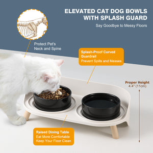 Cat Food Water Bowl Set - Elevated Dog Food Water Bowl - Raised Cat Bowls with Non Slip Stand - Elevated Puppy Bowls for Small Dogs - Double Ceramic Cat Feeding Bowls with Splash Proof Guard - Tall Cat Dishes