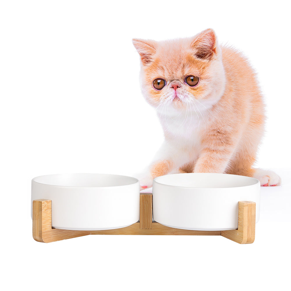 Ceramic cat clearance bowls with stand